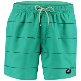 Boardshort O'Neill Men Contourz Green Blue