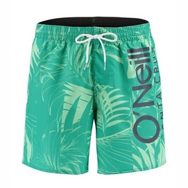 Board Shorts O'Neill Men Cali Floral Green White