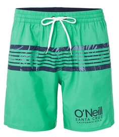 Boardshort O'Neill Men Cali Stripe Green Black