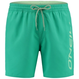 Boardshort O'Neill Men Cali Salina Green