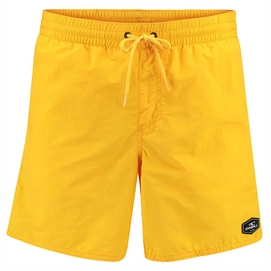 Boardshort O'Neill Men Vert Shorts Golden Yellow