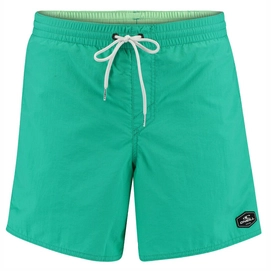 Short de Bain O'Neill Men Vert Shorts Salina Green