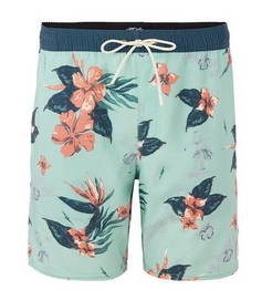 Board Shorts O'Neill Men Bloom Green