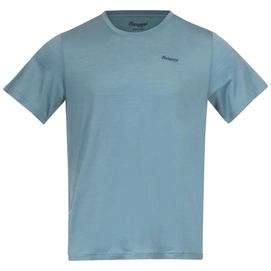 T-Shirt Bergans Graphic Wool Tee Smoke Blue / Orion Blue Herren