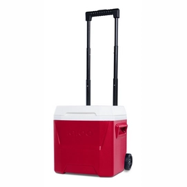 Koelbox Igloo Laguna 16 Roller Red 2021