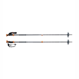 Ski Poles Black Diamond Traverse 2015