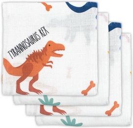 Multidoek Jollein Hydrofiel Small Dinosaur (4-delig)