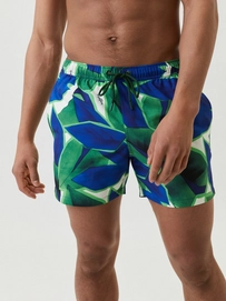Zwembroek Björn Borg Men Sthlm Shorts BB Retro Leafs