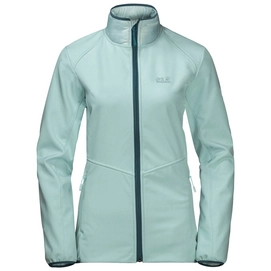 Jacke Jack Wolfskin Sky Point Green Haze Damen