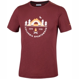 T-Shirt Columbia Nelson Point Graphic Tee Tapestry Heather Rot