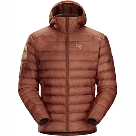 Jas Arc'teryx Men Cerium LT Hoody Komorebi