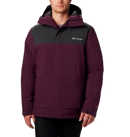 Jacke Columbia Horizon Explorer Insulated Jacket Black Cherry Shark Herren