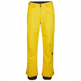 Pantalon de Ski O'Neill Men Hammer Pants Freesia