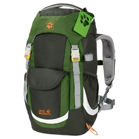 Rugzak Jack Wolfskin Kids Explorer 20 Antique Green