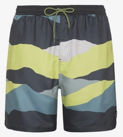 Beachshort Protest Men Javiar Huntergreen