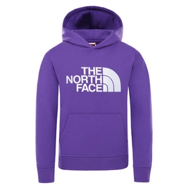 Hoodie The North Face Boys Drew Peak P/O Peak Purple
