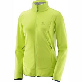 Fleecejacke Salomon Discovery Full Zip Acid Lime Damen