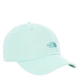 Casquette The North Face Washed Norm Coastal Green Wash