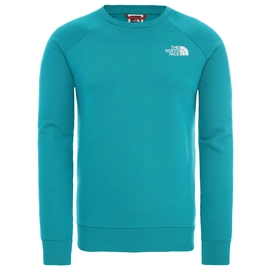Trui The North Face Men Raglan Redbox Crew Jaiden Green
