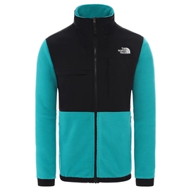 Jas The North Face Denali Jacket 2 Jaiden Green