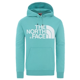 Trui The North Face Men Standard Hoody Lagoon