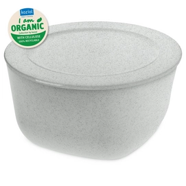 Lunchbox Koziol Connect Box 4 Schaal met Deksel 4 liter Organic Grey