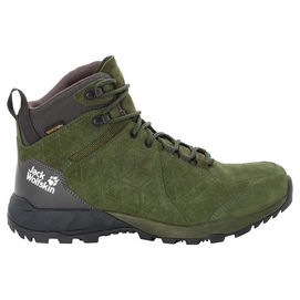 Chaussures de Randonnée Jack Wolfskin Men Cascade Hike LT Texapore Mid Dark Moss Phantom