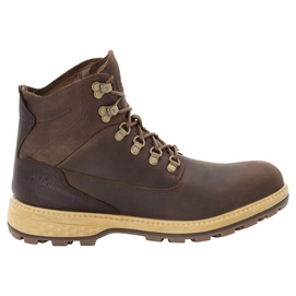 Chaussures de Randonnée Jack Wolfskin Men Jack Mid Dark Wood Mocca