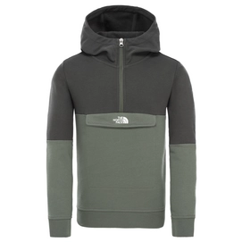 Trui The North Face Youth Yafita 1/4 Zip Thyme