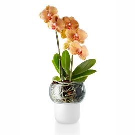Eva Solo Bloempot met Bewateringssysteem Orchid 13 cm