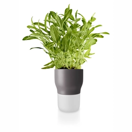 Eva Solo Flower Pot with Watering System Chalk Nordic Grey 11 cm