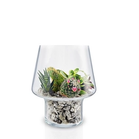 Vase à Succulents Eva Solo Transparent 15 cm