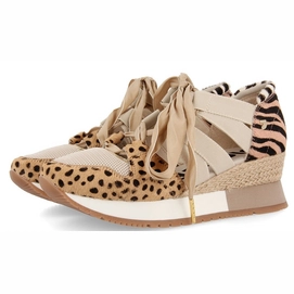 1---58648-multicolor-01
