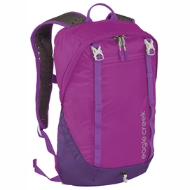 Rugzak Eagle Creek Asap Pack RFID Grape