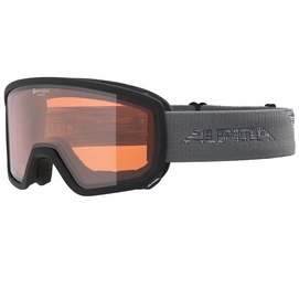 Skibril Alpina Scarabeo QH Black Grey
