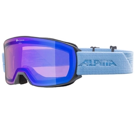Skibril Alpina Nakiska Q Grey Skyblue