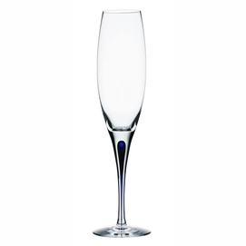 Champagneglas Orrefors Intermezzo Blue 200 ml