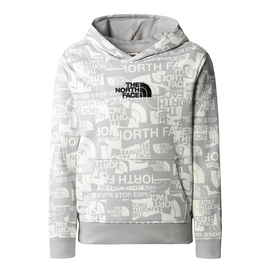Pullover The North Face Drew Peak Light Pullover Hoodie Kinder Meld Grey TNF Brand Proud Print-L