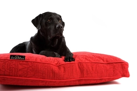Boxbed Lex&Max Chic Rood