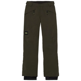 Skibroek O'Neill Boys Anvil Pants Forest Night