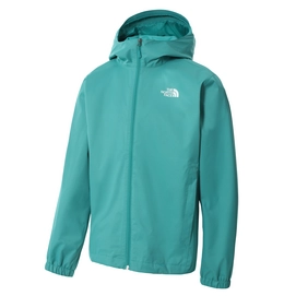 Jacke The North Face Quest Jacket Porcelain Green Black Heather Herren