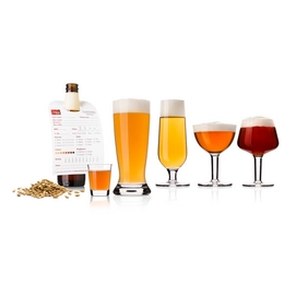 Verres à Bière Vacuvin Beer Tasting Glassware Set (10 pièces)