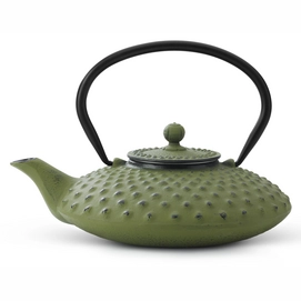 Teapot Bredemeijer Xilin Green 0.8 L