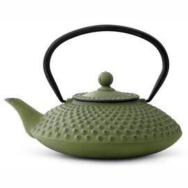 Teapot Bredemeijer Xilin Green 1.25 L