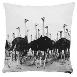 Sierkussen KAAT Amsterdam Ostrich Zwart (45x45 cm)