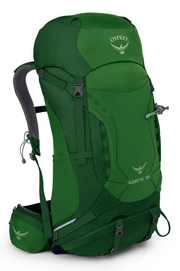 Backpacker Osprey Kestrel 38 Jungle Green (S/M)
