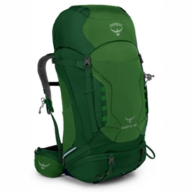 Backpack Osprey Kestrel 68 Jungle Green (S/M)