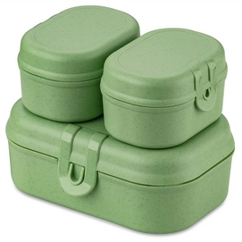 Lunchbox Koziol Bio-Circulair Pascal Mini Nature Leaf Green (3-Delig)