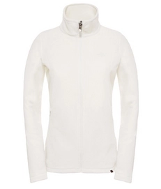 Jacke The North Face 100 Glacier Vapourous Grau Damen