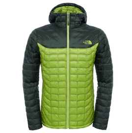 Winterjacke The North Face Thermoball Hoodie Climbing Ivy Grün Herren